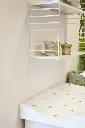 10108291_4543.webp