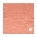 10107947_4587.webp