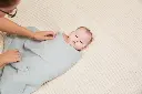 10108515_6236.webp
