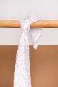 10107945_6225.webp