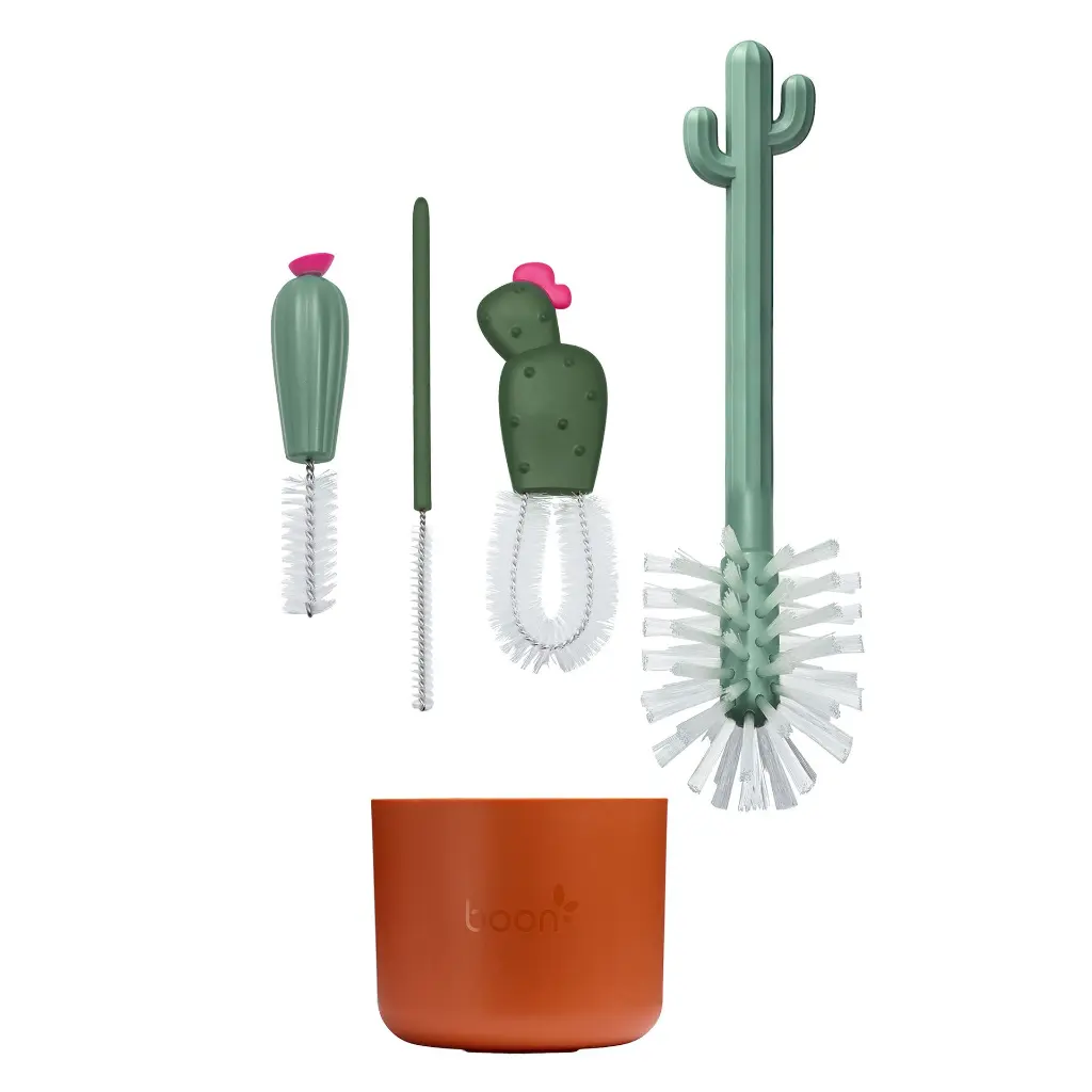 2447_13_Cacti2.webp
