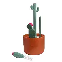 2447_13_Cacti3.webp