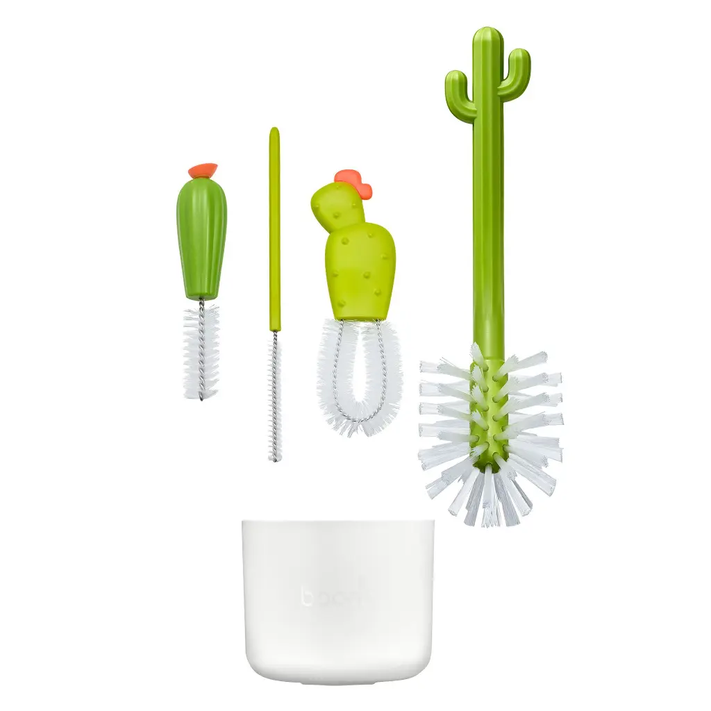 2447_00_Cacti_02.webp