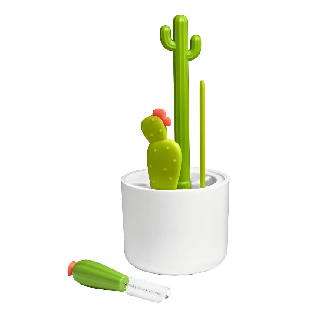 2447_00_Cacti_03.webp