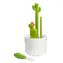 2447_00_Cacti_03.webp