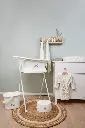 10108830_2877.webp
