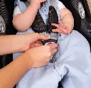 10107615_4895.webp