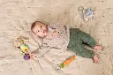 10109104_3264.webp