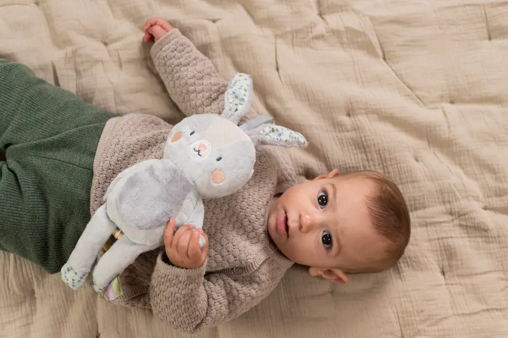 10109100_8520.webp
