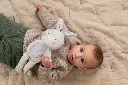 10109100_8520.webp