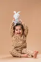 10109100_2274.webp
