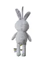 10109100_6527.webp