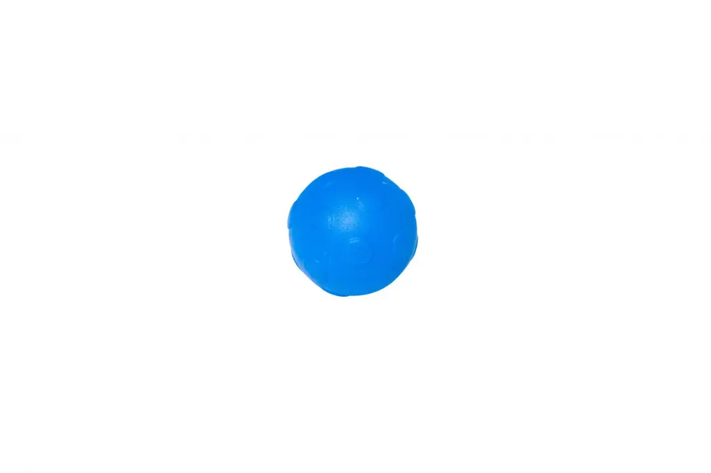 10108797_5309.webp