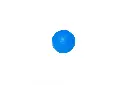 10108797_5309.webp