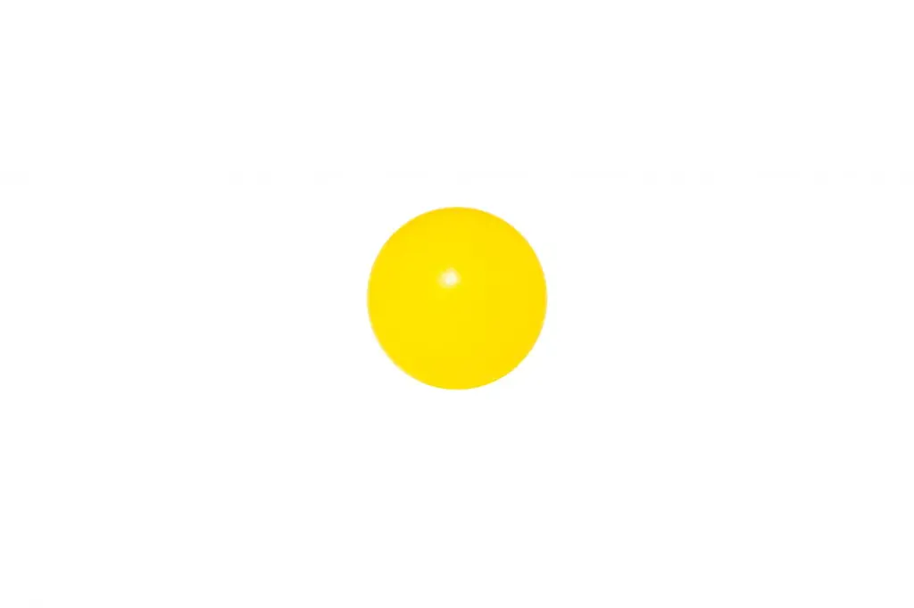 10108797_4739.webp