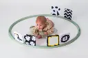 10108800_6155.webp