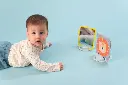 10108298_1782.webp