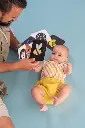 10108298_6749.webp