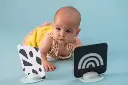 10108298_4186.webp