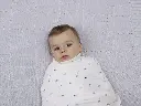 1588-04_2.webp