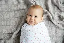 1589-06_2.webp