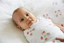 1589-06_1.webp