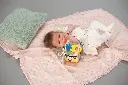 10108288_4586.webp