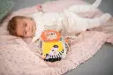 10108288_4840.webp