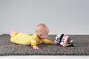 10107600_2484.webp