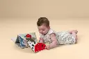 10109976_5557.webp