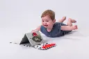 10109976_6493.webp
