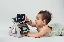 10109402_9818.webp