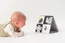 10108725_9251.webp
