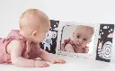 10108725_1692.webp