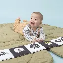 10108727_4288.webp