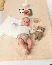 10110117_1572.webp