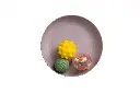 10109968_2882.webp