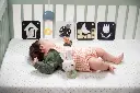 10109117_1391.webp