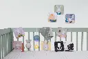 10109117_7692.webp