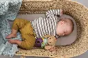 10108941_3617.webp