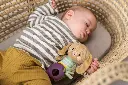10108941_1938.webp