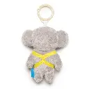 10107293_4581.webp