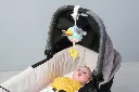 10107720_3870.webp