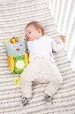10094392_5369.webp
