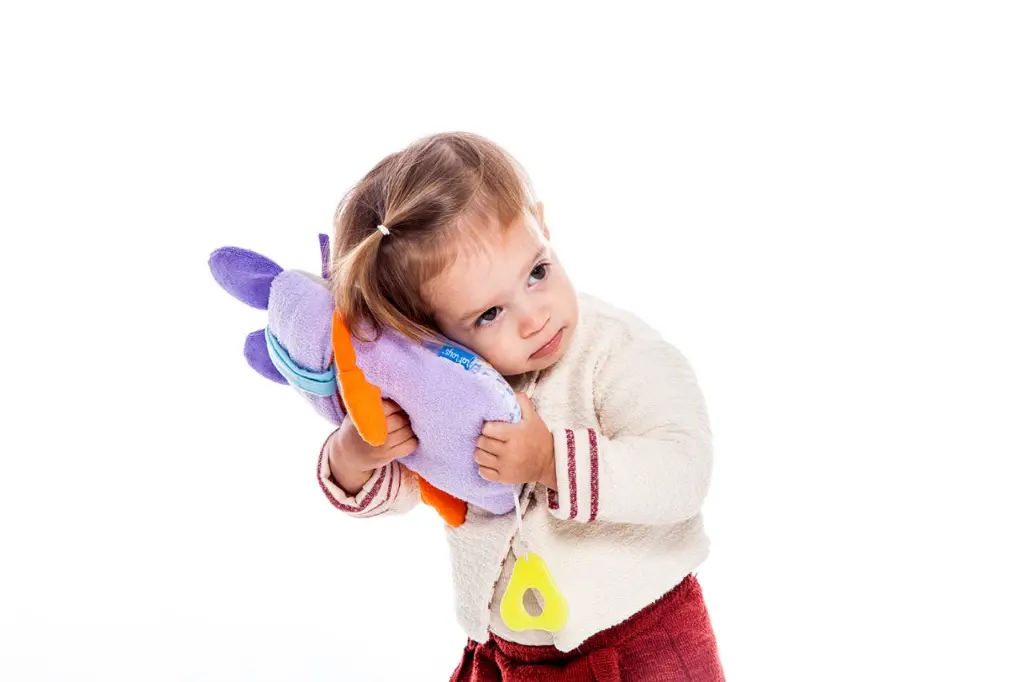 10094393_4386.webp
