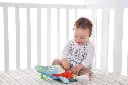 10094394_7850.webp