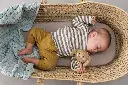 10108945_2282.webp