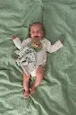 10108798_7417.webp