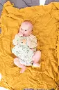 10108798_2863.webp
