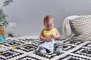 10093870_4652.webp